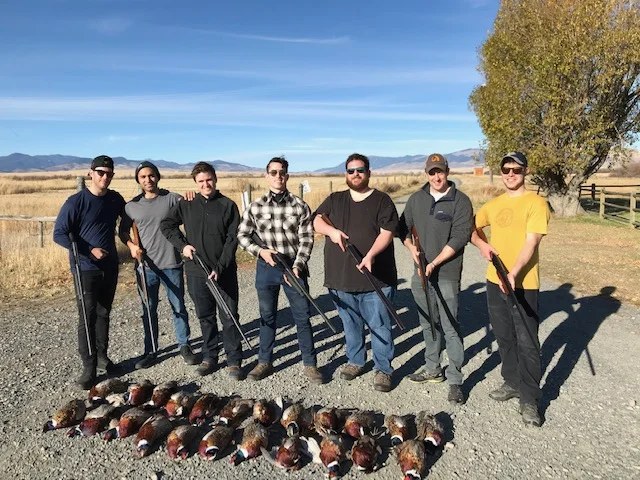Successful group hunt with birds